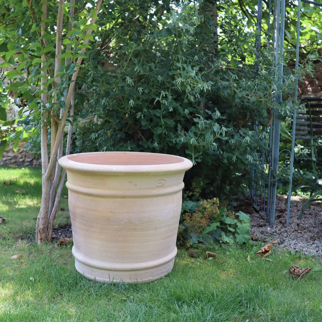 Ein großer, leerer beigefarbener Terrakotta-Blumentopf „Canna“ (H=40 cm) steht auf einer Rasenfläche in einem Garten. Der Topf ist von verschiedenen Grünpflanzen umgeben, darunter auch Canna, mit einem Blick auf eine Metallstruktur und Kieselsteine auf der rechten Seite im Hintergrund. Die Szene ist hell und üppig.