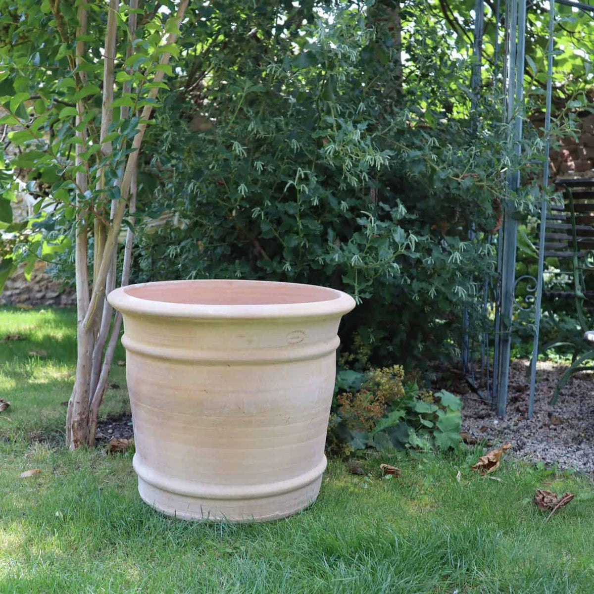 Ein großer, leerer beigefarbener Terrakotta-Blumentopf „Canna“ (H=40 cm) steht auf einer Rasenfläche in einem Garten. Der Topf ist von verschiedenen Grünpflanzen umgeben, darunter auch Canna, mit einem Blick auf eine Metallstruktur und Kieselsteine auf der rechten Seite im Hintergrund. Die Szene ist hell und üppig.