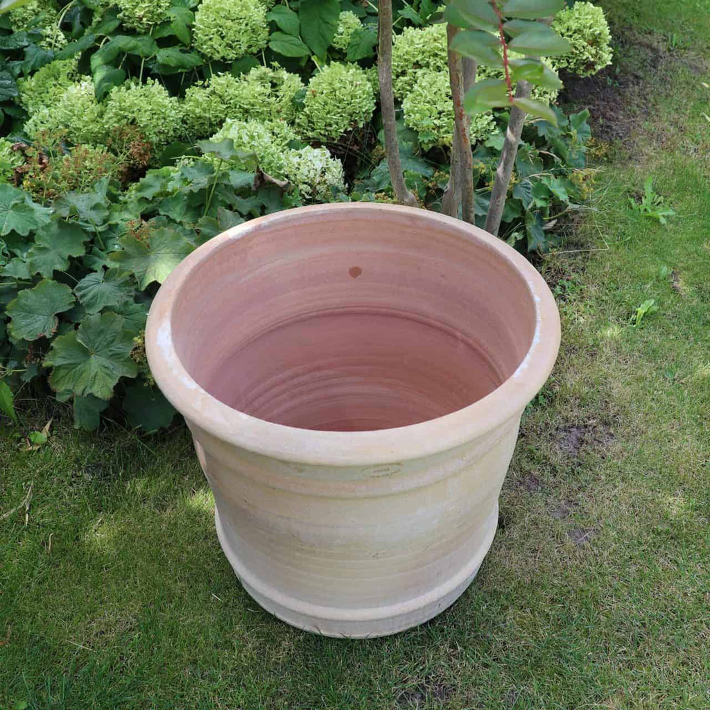 Ein großer, leerer Terrakotta-Blumentopf „Canna“, H=40 cm, steht auf einer Rasenfläche neben einem Gartenbeet mit grünem Laub und blühenden Hortensien. Dieser schöne Topf könnte den kleinen Baum mit den schlanken Zweigen, die rechts davon sichtbar sind, perfekt ergänzen.