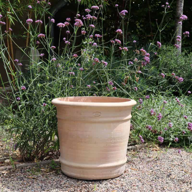 Ein großer, leerer Blumentopf „Canna“ aus Terrakotta, 40 cm hoch, steht auf einer Kiesfläche in einem Garten. Dahinter wachsen üppig große grüne Pflanzen mit zahlreichen kleinen violetten Blüten, darunter leuchtende Cannas, die einen üppigen Hintergrund bilden. Die Szene ist ruhig und natürlich und unterstreicht die Schönheit von Gartenarbeit und Außenbereichen.