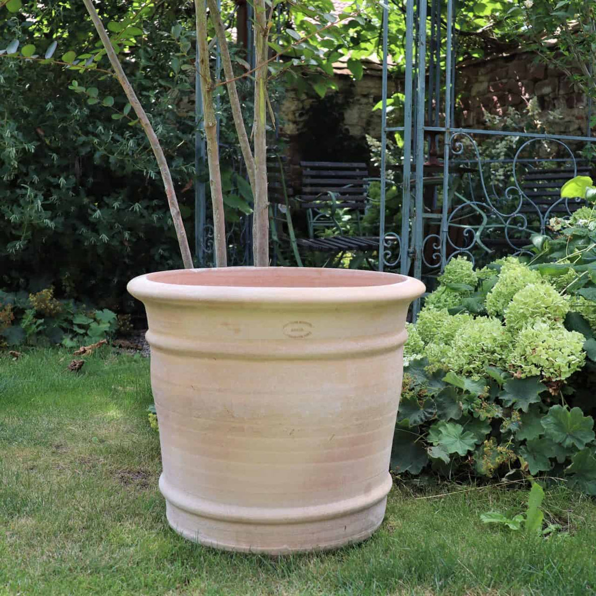 Ein großer, leerer Blumentopf aus Terrakotta „Canna“, H=40 cm, steht auf einem Stück grünem Gras in einem Garten. Um ihn herum stehen Canna-Pflanzen mit Blättern, Hortensienblüten und dekorative Gartenmöbel aus Metall. Sonnenlicht fällt durch die Bäume und wirft gesprenkelte Schatten auf die Szene.