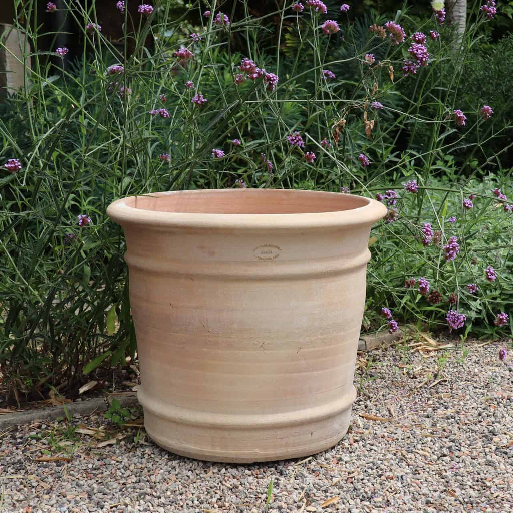 Ein großer, leerer Übertopf-Terrakotta-Pflanztopf „Canna“ steht auf einer Kiesfläche in einem Garten. Der Pflanztopf ist von üppiger, grüner Vegetation und violett blühenden Pflanzen umgeben. Zwischen dem Grün sind leuchtende Canna-Blätter zu sehen, die die verschiedenen Grüntöne des Laubs im Hintergrund ergänzen.
