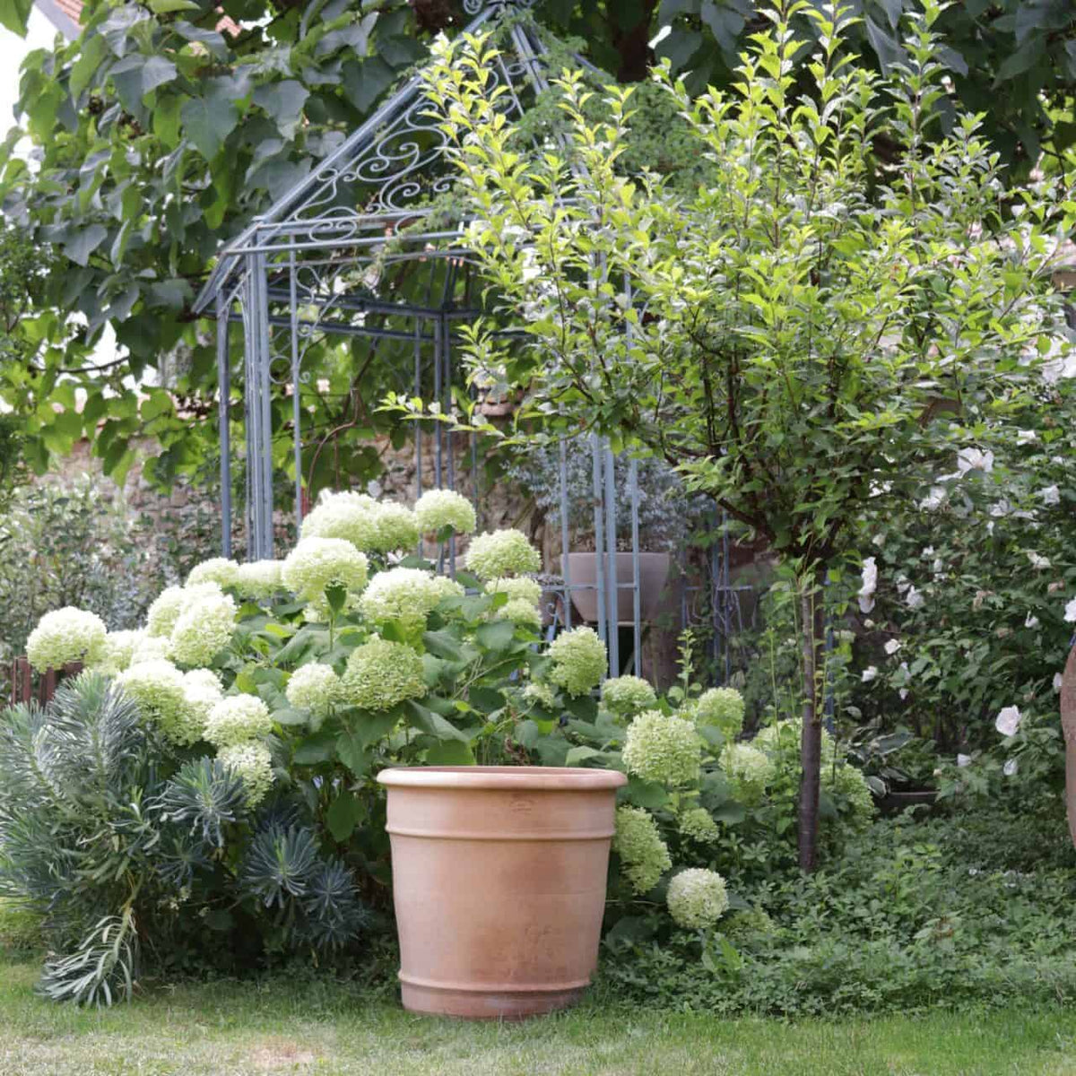 Eine Gartenszene mit üppigem grünem Laub, weißen Hortensienblüten, einem kleinen Baum und dem markanten Übertopf Terrakotta „Canna“, Höhe 50 cm, im Vordergrund. Eine kunstvolle Gartenstruktur aus Metall steht inmitten der Pflanzen, während leuchtende Canna-Lilien Farbtupfer unter dem dichten, Schatten spendenden Baumdach setzen.