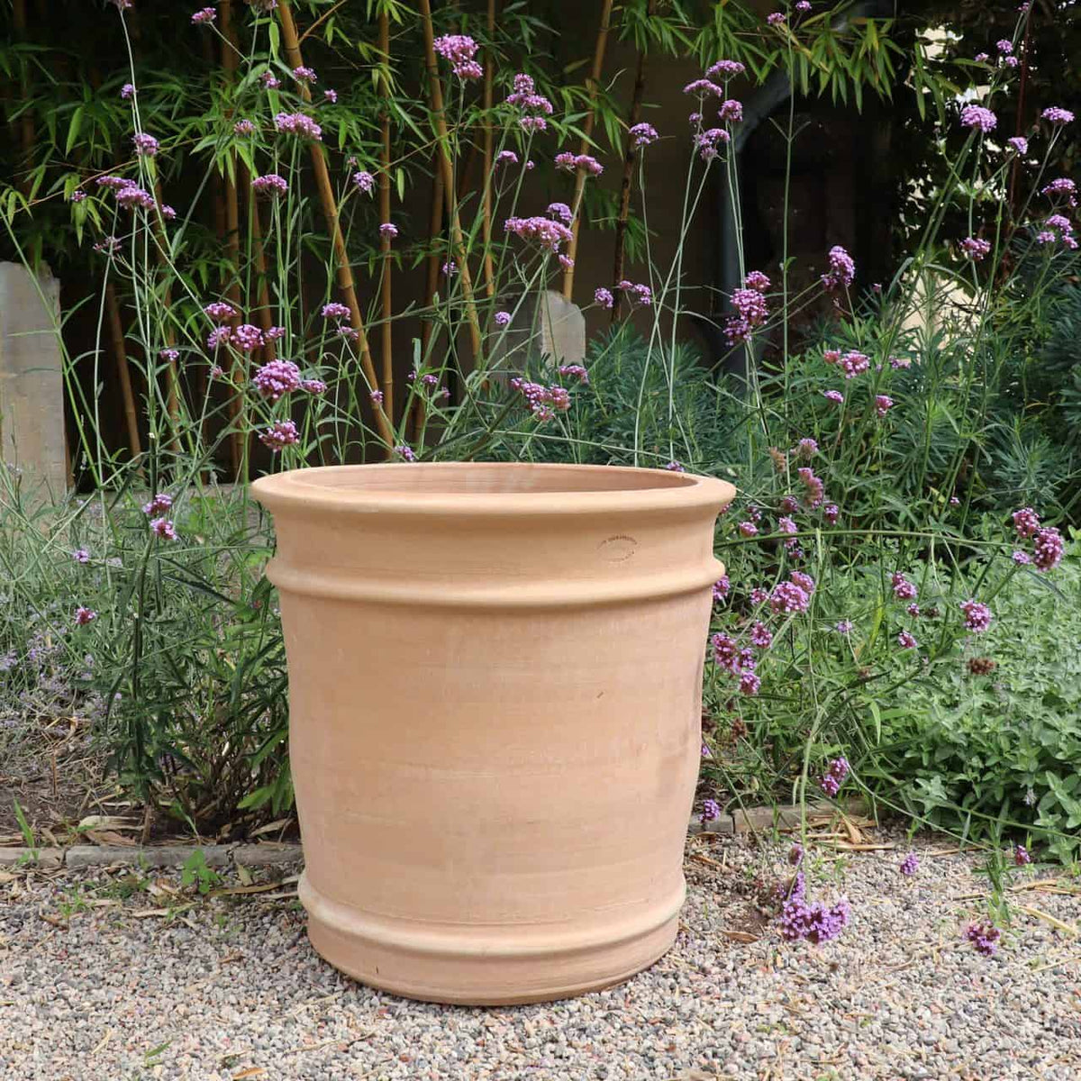 Ein 50 cm hoher Übertopf-Terrakottatopf „Canna“ steht auf einer Kiesfläche vor einem üppigen Garten, der mit großen blühenden Canna-Pflanzen mit zarten violetten Blüten geschmückt ist. Im Hintergrund sind grüne Blätter und Bambusstäbe zu sehen.