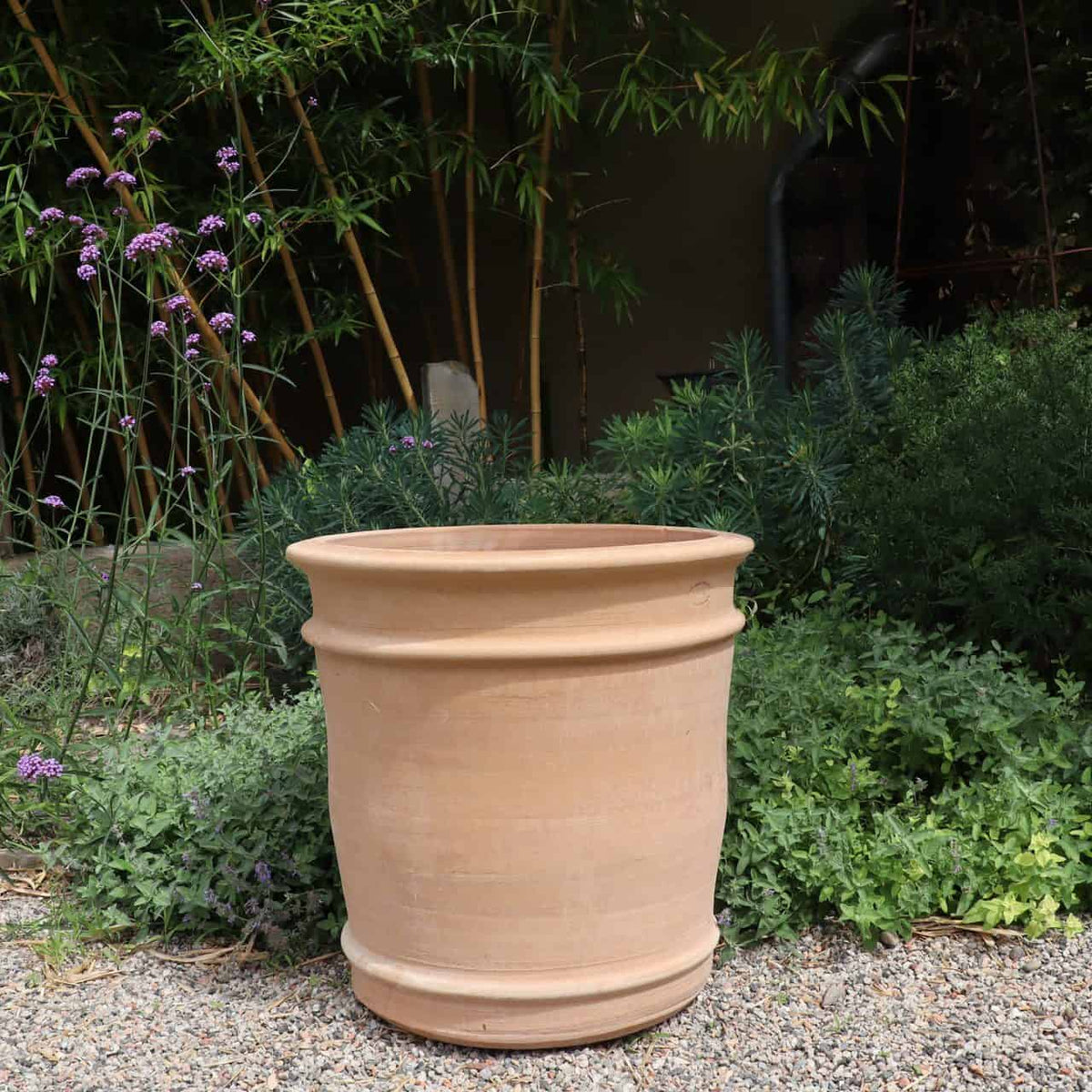 Ein großer, leerer Übertopf Terrakotta „Canna“ (H=50 cm) steht auf einem Kiesweg in einem Garten, umgeben von üppigem grünem Laub und hohen, schlanken Bambuspflanzen im Hintergrund. Links vom Topf sind einige zarte violette Blüten zu sehen, und leuchtende Canna-Blätter verleihen ihm einen Hauch exotischer Eleganz.