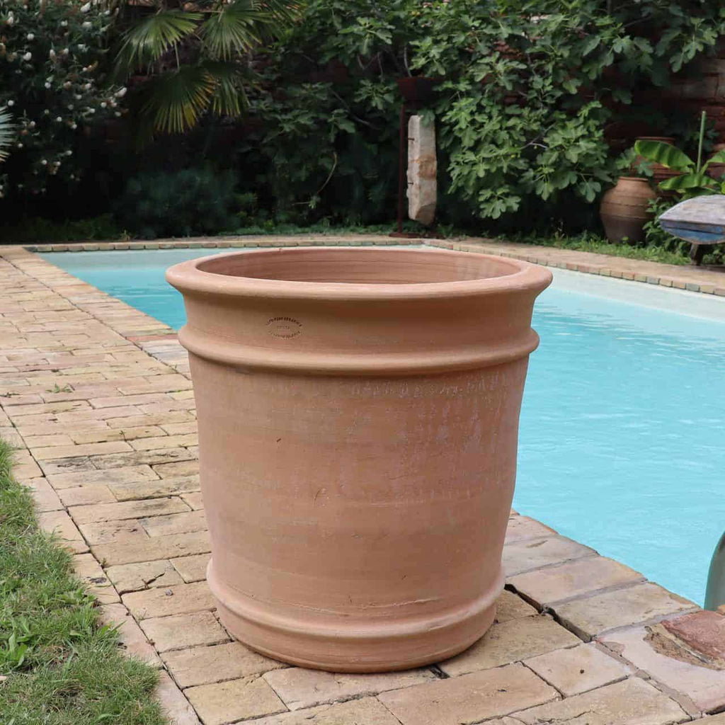 Ein großer, leerer Übertopf Terrakotta „Canna“, H=50 cm, steht auf einem gepflasterten Weg neben einem Swimmingpool. Der Pool ist von üppigen grünen Pflanzen und Bäumen umgeben. Die Szene spielt im Freien an einem sonnigen Tag und vermittelt ein Gefühl der Ruhe und Entspannung.