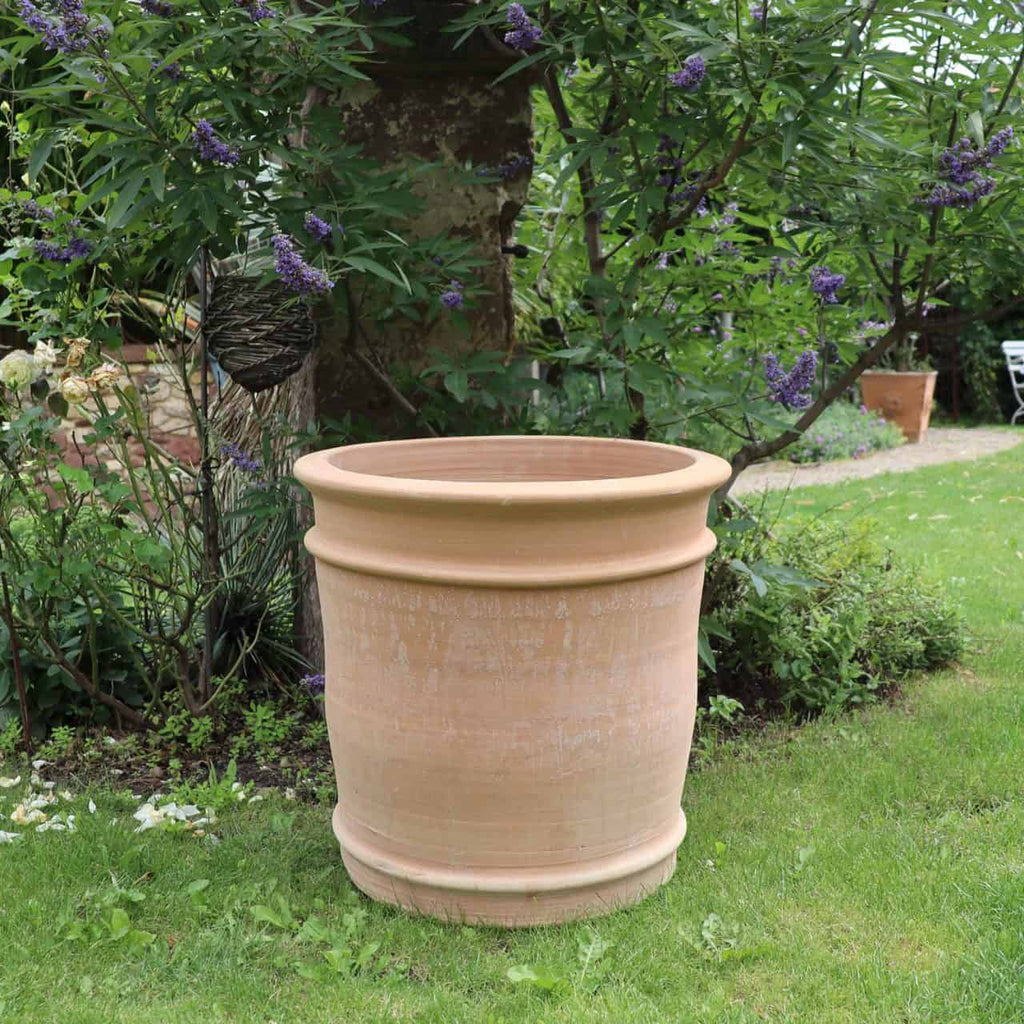 Ein großer, leerer Übertopf aus Terrakotta „Canna“ (H=50 cm) steht auf einer Rasenfläche. Der umliegende Garten ist mit grünen Blattpflanzen und leuchtenden Canna-Blüten geschmückt. Im Hintergrund ist ein Baumstamm zu sehen. In der Ferne sind ein Gehweg und ein weißer Gartenstuhl zu sehen.