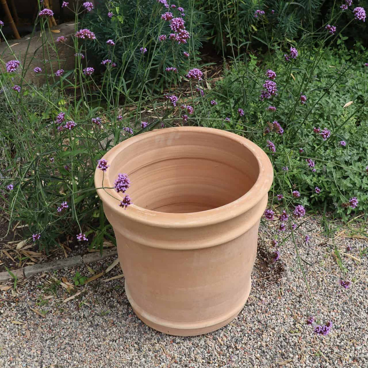 Ein großer, leerer Übertopf aus Terrakotta „Canna“, 50 cm hoch, steht auf einer Kiesfläche, umgeben von hohen, schlanken Stielen mit violetten Blüten. Im Hintergrund sind grünes Laub und weitere violette Canna-Blüten zu sehen.