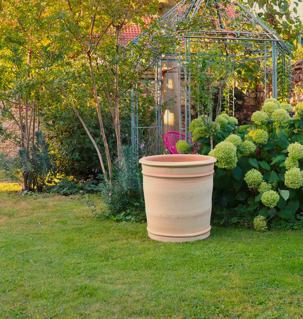 Ein gepflegter Garten mit einem XXL-Pflanzkübel „Canna“ aus Terrakotta, H=60 cm, im Vordergrund. Um den Topf herum stehen verschiedene Pflanzen, darunter ein Busch mit hellgrünen Blüten. Im Hintergrund sind eine Metallpavillonkonstruktion und ein rosa Stuhl zu sehen, dazu Bäume und eine Rasenfläche.