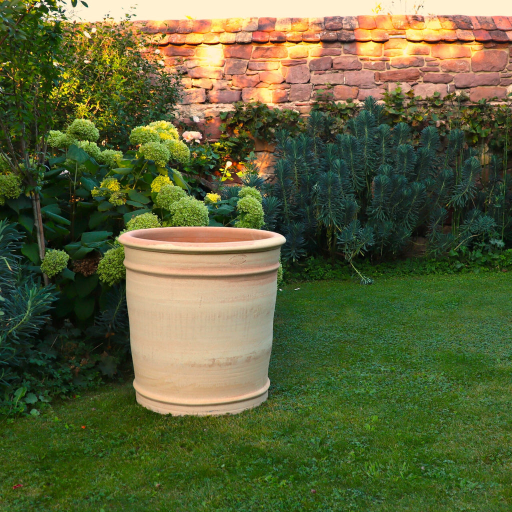 Ein großer, leerer XXL-Pflanzkübel aus Terrakotta „Canna“, H=60 cm, steht auf einem gepflegten Rasen vor einem üppigen Garten mit grünem Laub und Hortensienblüten. Hinter dem Garten befindet sich eine rustikale Steinmauer, die teilweise mit Efeu bedeckt ist. Die Szene wird vom warmen Sonnenlicht des späten Nachmittags beleuchtet.