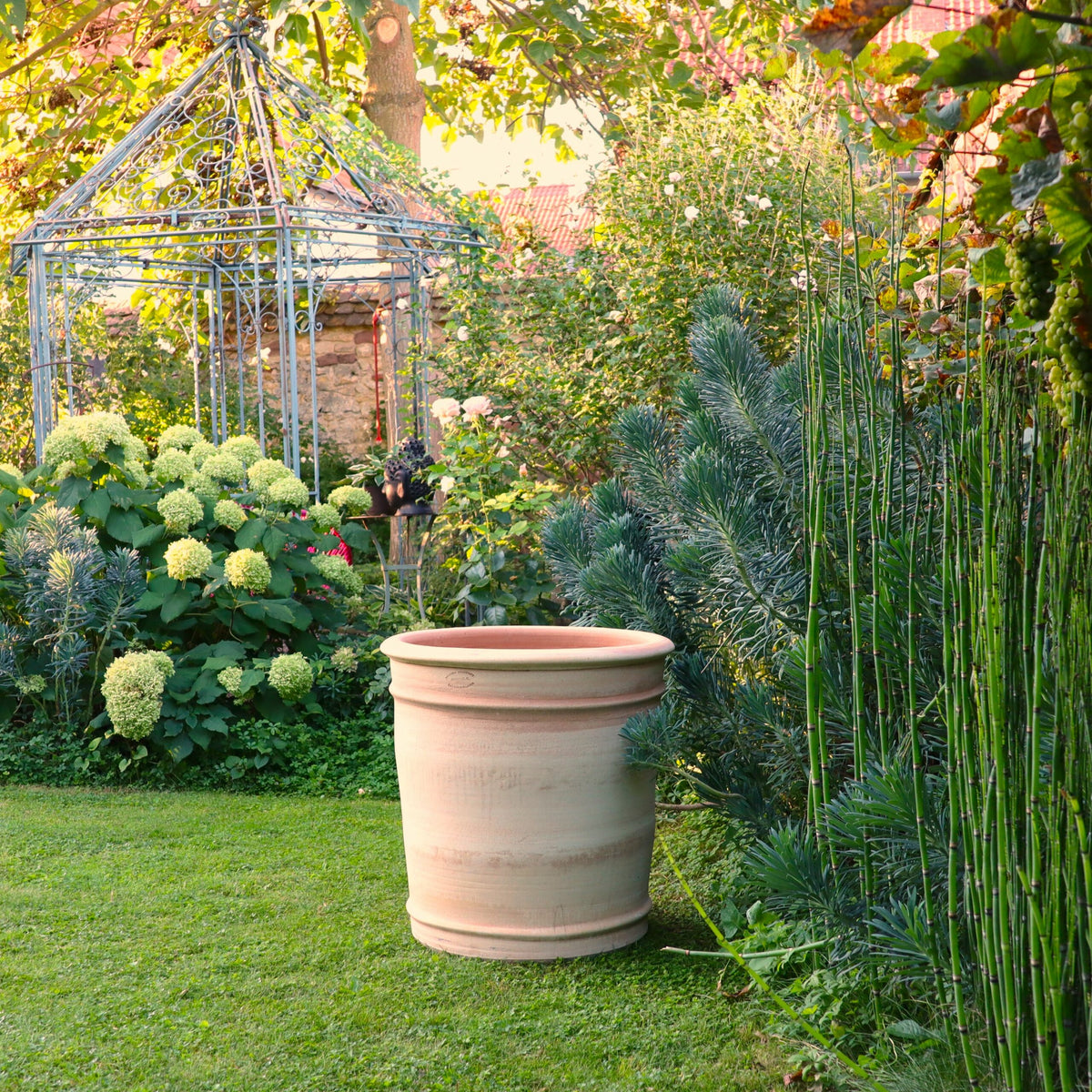 In einem üppigen Garten steht ein großer, leerer XXL-Pflanzkübel „Canna“ aus Terrakotta, H=60 cm, auf grünem Gras. Um den Topf herum stehen Canna-Pflanzen mit Blättern und blühenden weißen Blumen. Im Hintergrund steht ein dekorativer Metallpavillon, der teilweise von Bäumen beschattet wird. Die Szene ist ruhig im gesprenkelten Sonnenlicht.