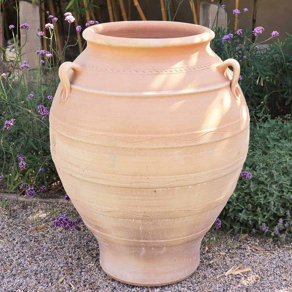Ein großer Terrakotta-Tontopf mit zwei gegenüberliegenden Schlaufengriffen steht im Freien auf einer Kiesfläche. Er ist von Grünpflanzen und kleinen violetten Blumen umgeben. Der Topf hat einen leicht konischen Boden und dezente horizontale Rillen um seinen Körper.