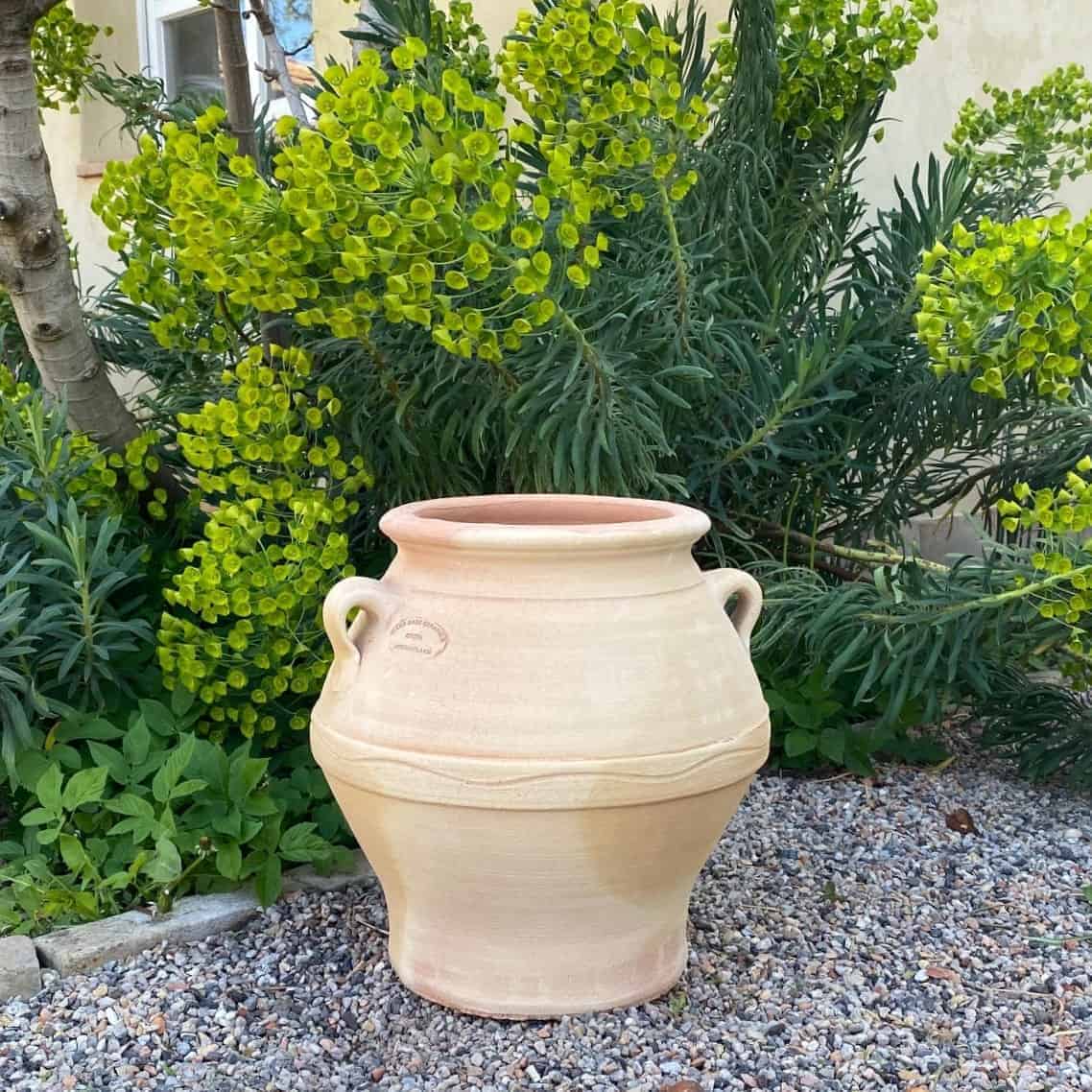 Die altgriechische Amphore „Cassia“ H=35 cm, hochstehend mit glatter, hellbrauner Oberfläche und dezentem Mittelteildesign, ruht auf Kies vor einem üppigen Cassia-Strauch, der mit leuchtend gelben Blüten geschmückt ist. Im Hintergrund ist ein Teil einer Gebäudewand zu sehen.