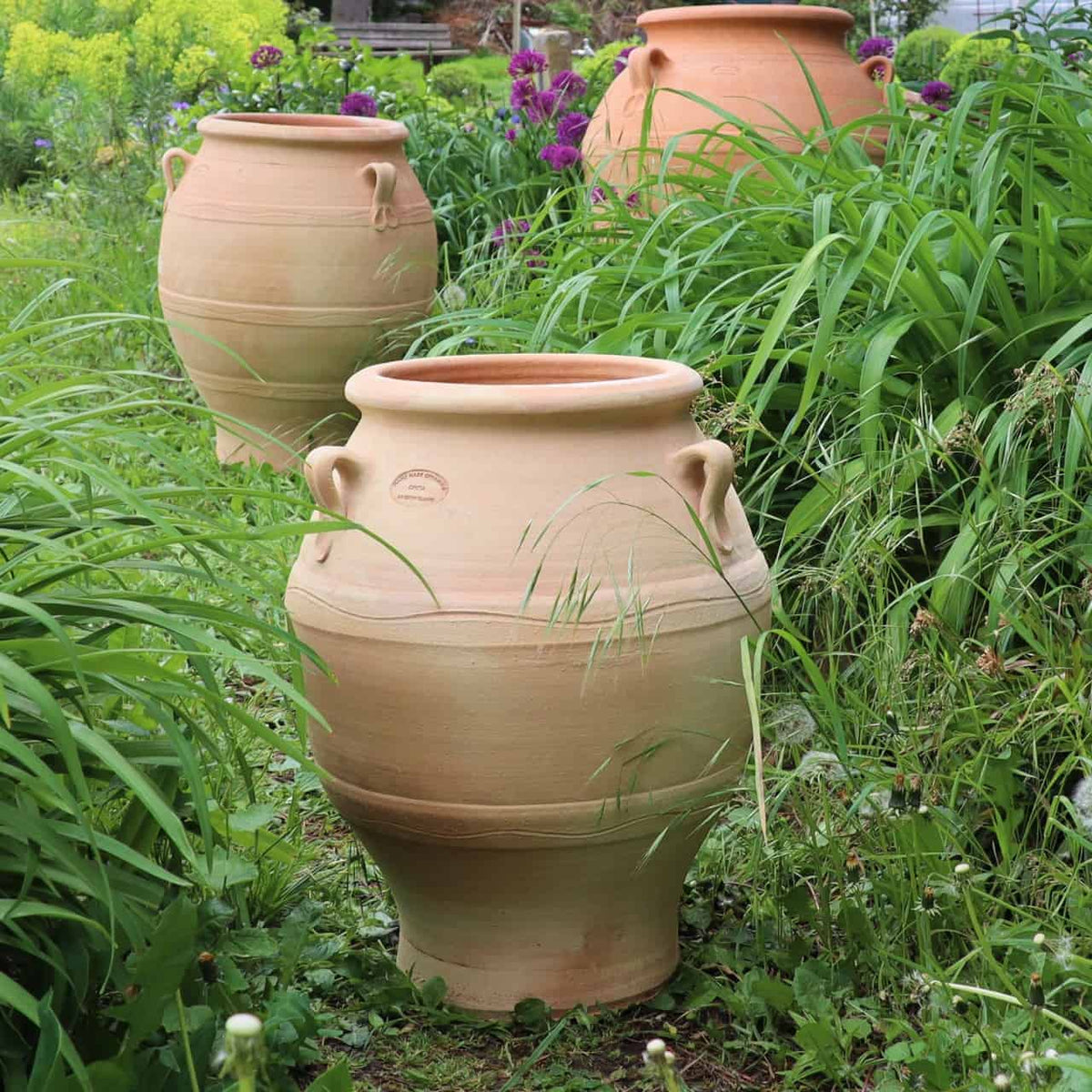 Drei griechische Amphoren „Cassia“ H=50 cm sind eingebettet in üppiges Grün. Diese Terrakotta-Vasen mit markanten Griffen sind von leuchtend violetten Blumen umgeben und verstärken die zauberhafte Atmosphäre des Gartens.