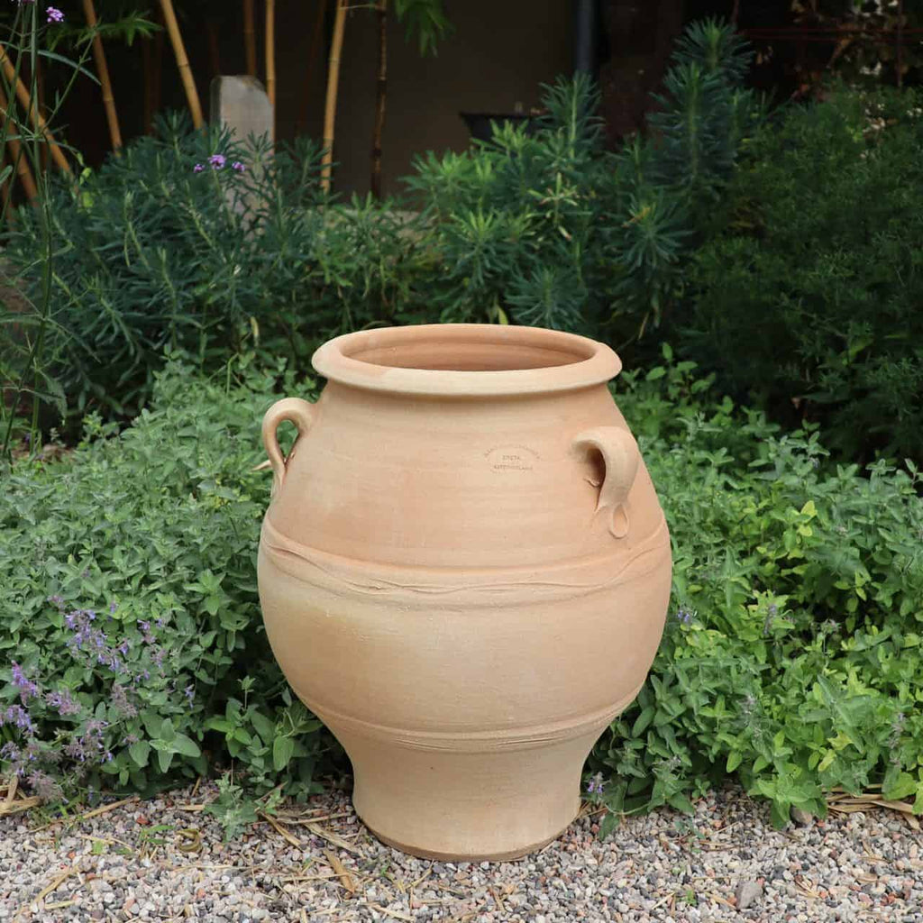 Die griechische Amphore „Cassia“, ein großer, runder Terrakotta-Topf mit seitlichen Griffen, steht auf Kies in einer Gartenumgebung, umgeben von üppigem Laub und kleinen lila Blüten.