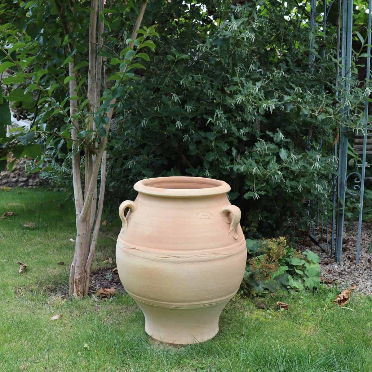 Die griechische Amphore „Cassia“, ein großer, hellbrauner Terrakotta-Topf mit zwei Henkeln, steht auf dem Rasen zwischen grünem Laub und Bäumen. Ihre runde Form und die erdige Farbe bilden einen schönen Kontrast zum üppigen Grün dahinter.
