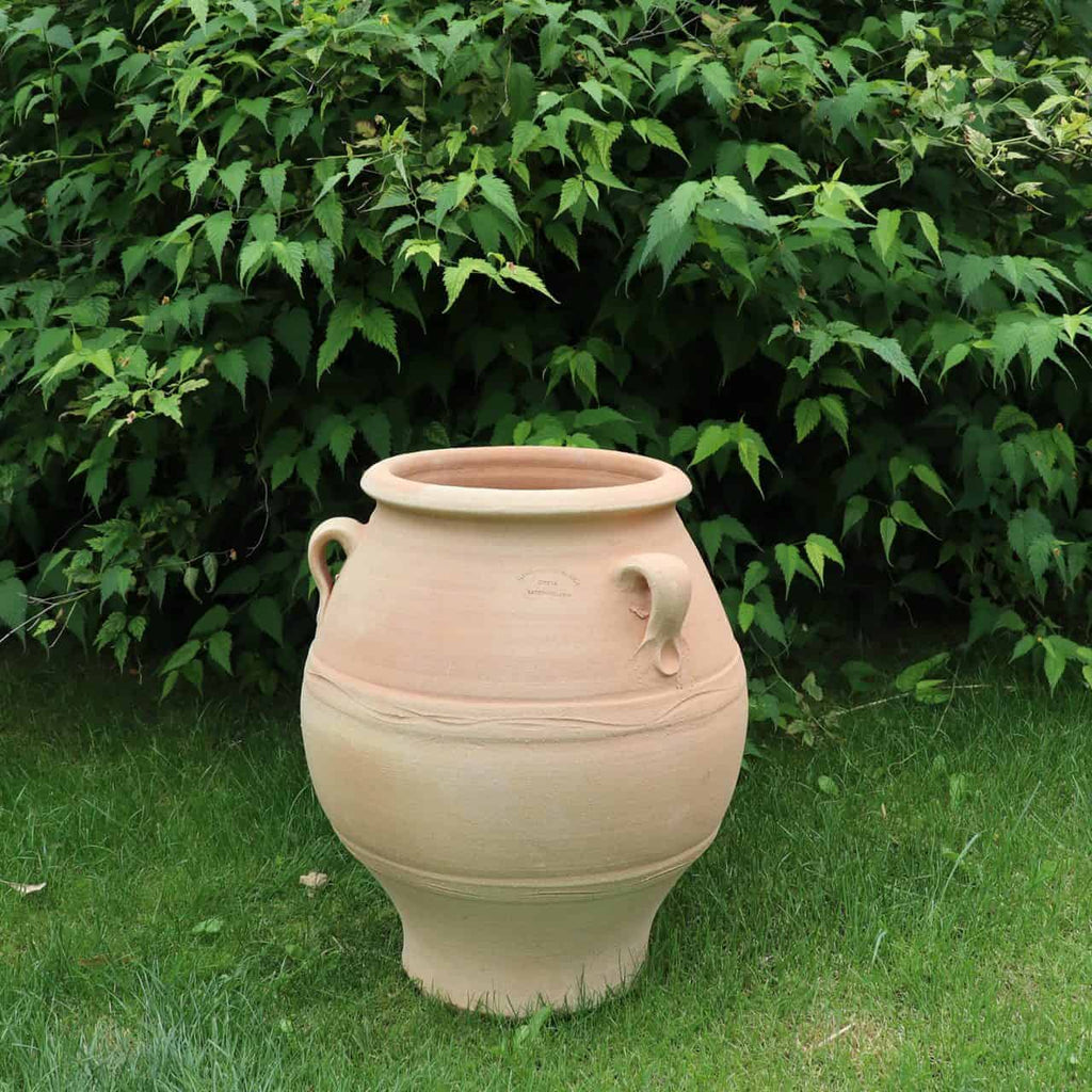 Die griechische Amphore „Cassia“, ein großer, beigefarbener Keramiktopf mit einer Höhe von 50 cm, steht auf einer Rasenfläche, umgeben von üppigem grünem Laub. Ihre glatte Oberfläche und die minimale Verzierung verleihen ihr ein erdiges, natürliches Aussehen.