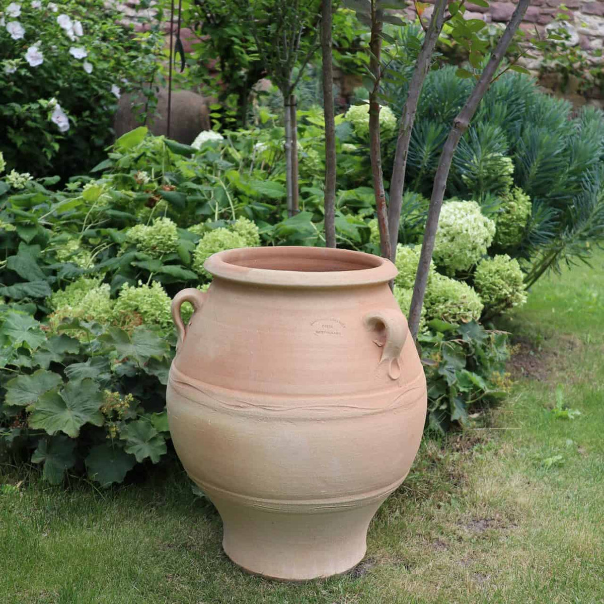 Die griechische Amphore „Cassia“ H=50 cm, ein großer beigefarbener Tontopf mit zwei Henkelschlaufen, steht anmutig auf Gras, umgeben von üppigen Pflanzen und Bäumen. Weiße Blumen und blätterreiche Sträucher bilden eine malerische Kulisse in dieser ruhigen Gartenumgebung.