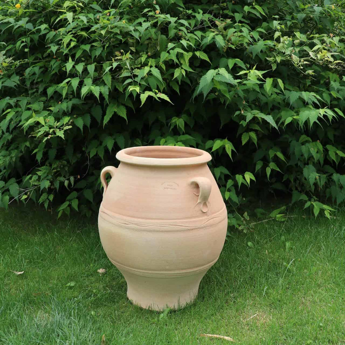 Die griechische Amphore „Cassia“ H=50 cm, ein großer beiger Tontopf mit zwei Henkeln, ruht auf grünem Gras, umgeben von üppigem grünen Gebüsch.