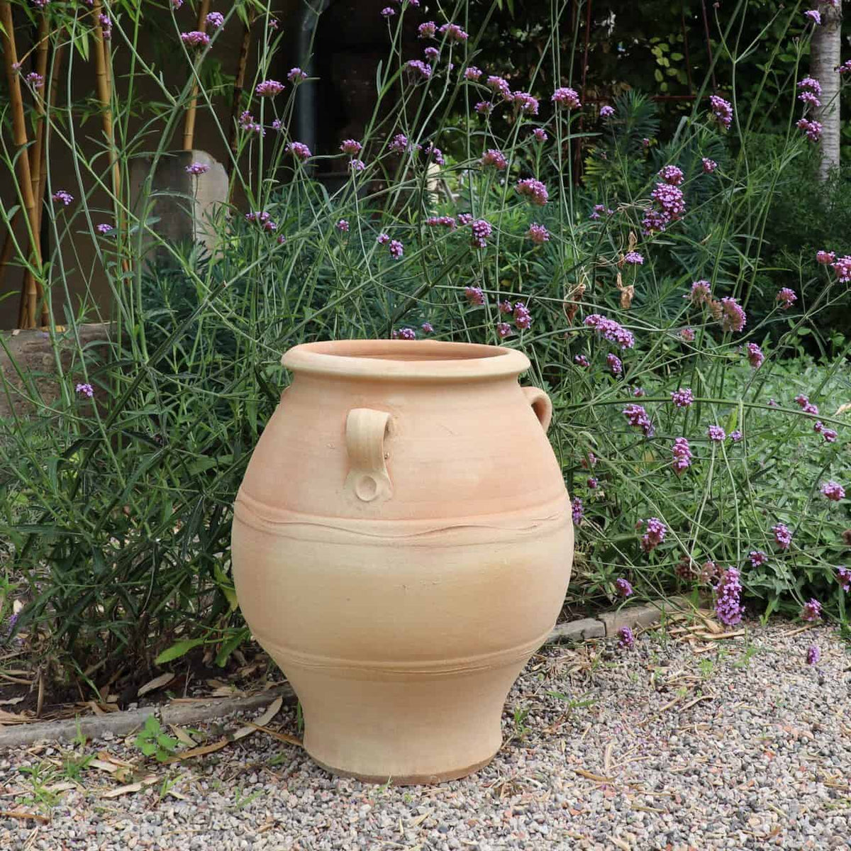 Eine große griechische Amphore aus beigefarbenem Ton „Cassia“ (H=50 cm), geschmückt mit zwei kleinen Henkeln, steht auf einem Kiesweg, umgeben von üppigen grünen Blättern und großen violetten Blüten vor einem Hintergrund aus verschiedenen Gartenpflanzen und hoch aufragenden Zweigen.