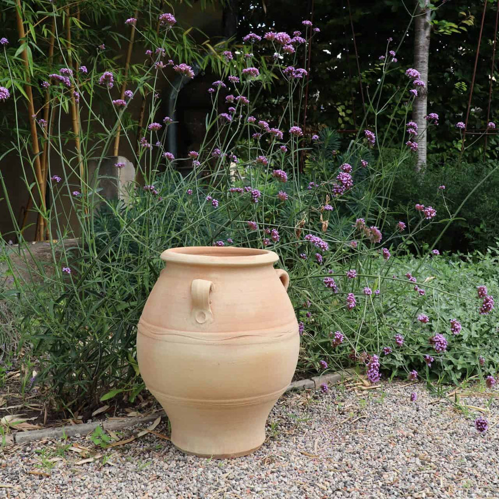 Die griechische Amphore „Cassia“ H=50 cm, ein großer hellbrauner Keramiktopf, steht auf einem Kiesweg neben hohen lila blühenden Pflanzen in einem Garten. Grünes Laub und Bäume bilden eine üppige Kulisse.