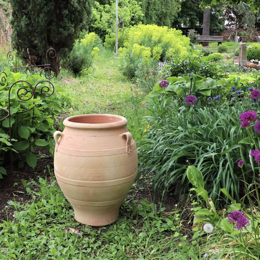 Eine große Terrakotta-Amphore „Cassia“ (H=60 cm) mit Griffen steht in einem üppigen Garten, umgeben von verschiedenen Grünpflanzen und violetten Blumen. Links ist teilweise eine schmiedeeiserne Struktur sichtbar, im Hintergrund erstrecken sich Bäume und weiteres Gartengrün.