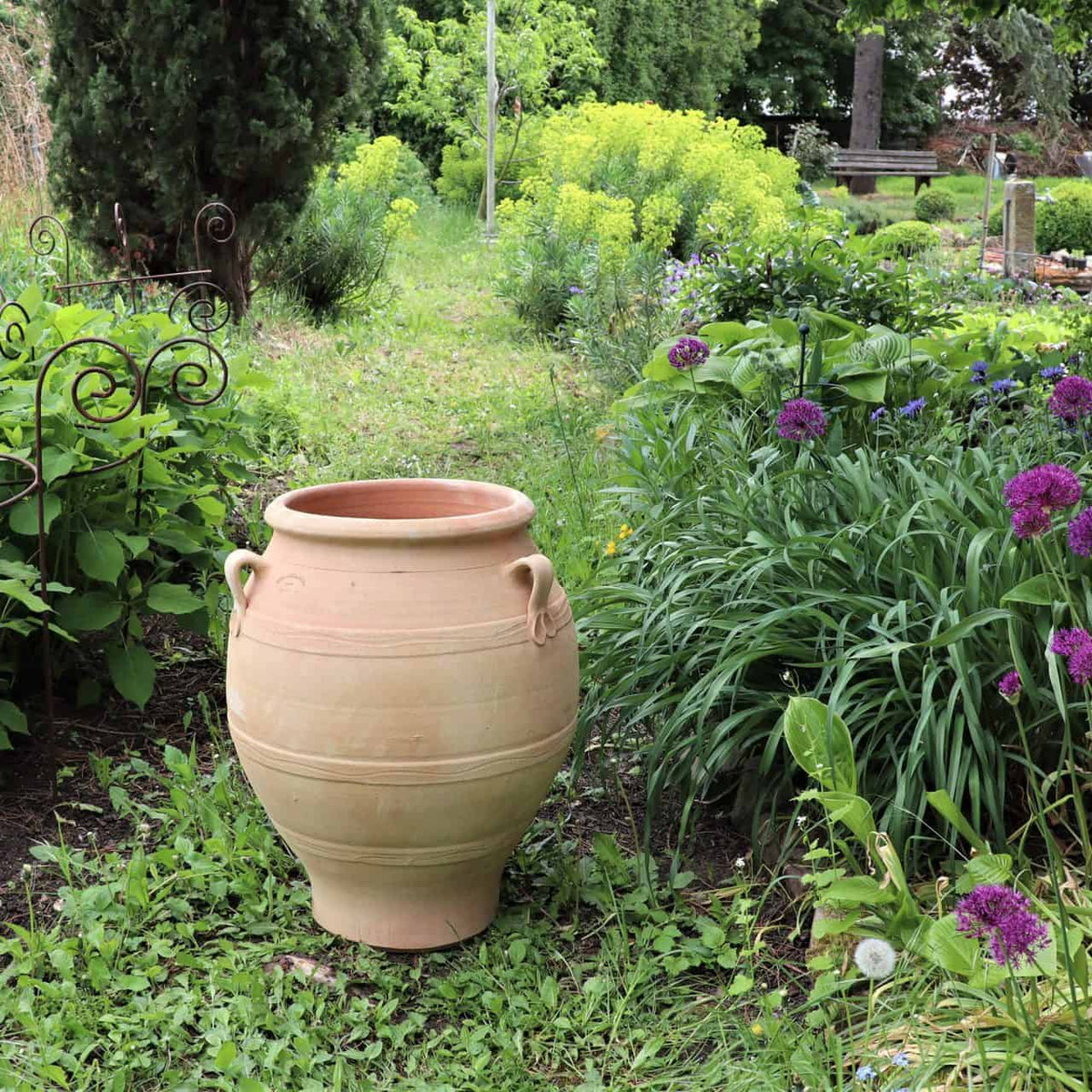 Eine große Terrakotta-Amphore „Cassia“ (H=60 cm) mit Griffen steht in einem üppigen Garten, umgeben von verschiedenen Grünpflanzen und violetten Blumen. Links ist teilweise eine schmiedeeiserne Struktur sichtbar, im Hintergrund erstrecken sich Bäume und weiteres Gartengrün.