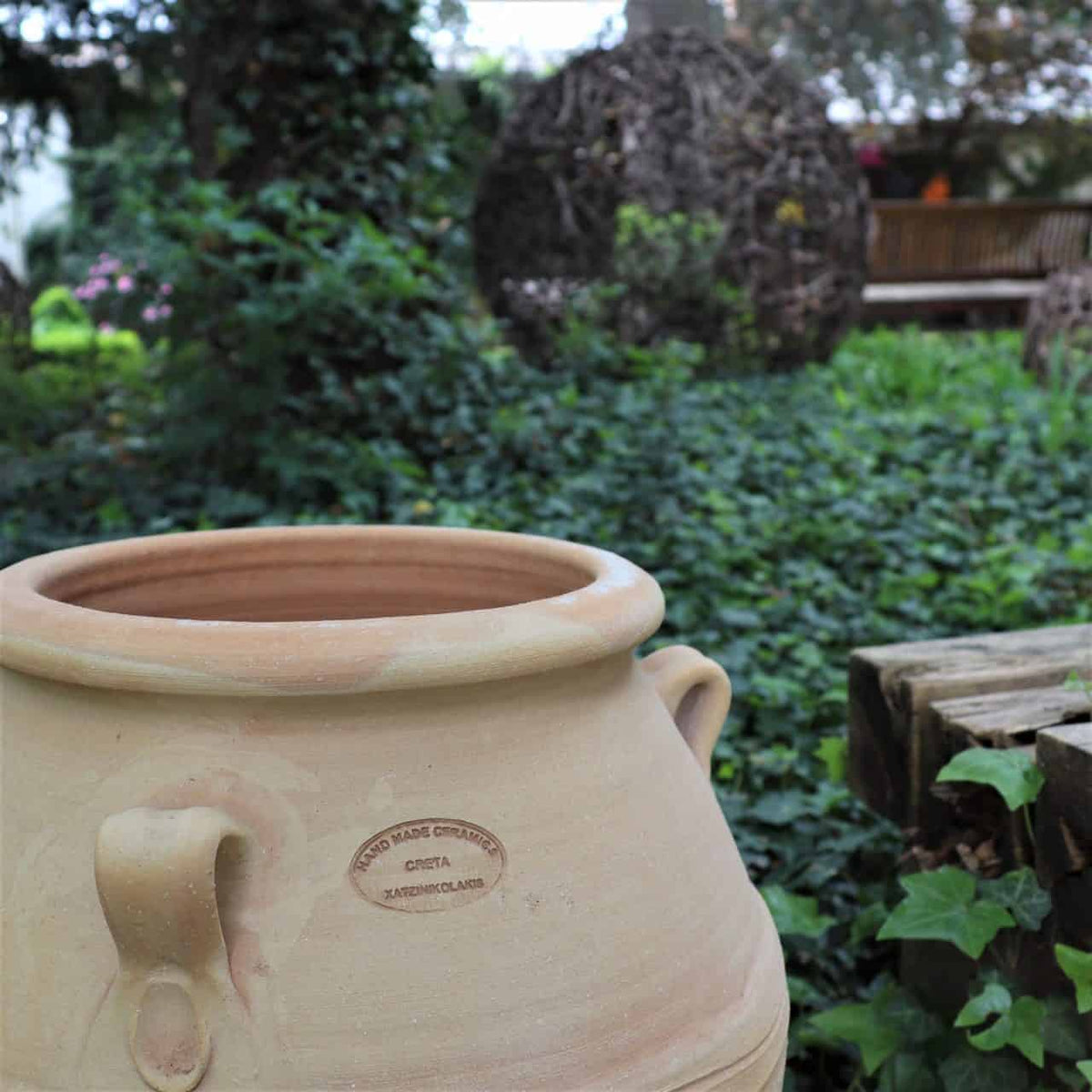 Die Terrakotta-Amphore „Cassia“ (H=60 cm), ein großer beigefarbener Topf mit Henkeln und geprägtem Etikett, der an eine klassische Amphore erinnert, steht inmitten üppigen grünen Efeus in einem Garten. Im Hintergrund sind eine Holzbank und kugelförmige Pflanzenarrangements zu sehen, alles eingerahmt von dichtem Blattwerk in einer Außenumgebung.