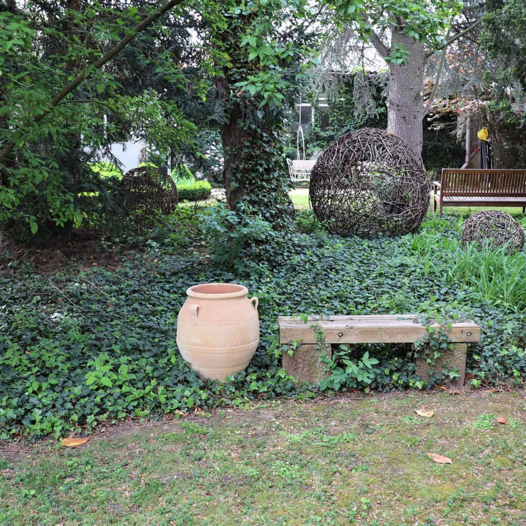 Eine ruhige Gartenszene zeigt eine Holzbank und eine große 60 cm große Terrakotta-Amphore „Cassia“, umgeben von üppigem Grün und Efeu. Im Hintergrund sind kugelförmige geflochtene Kunstwerke auf dem Rasen verstreut, und eine weitere Holzbank ist teilweise zwischen Cassia-Bäumen und Laub sichtbar.
