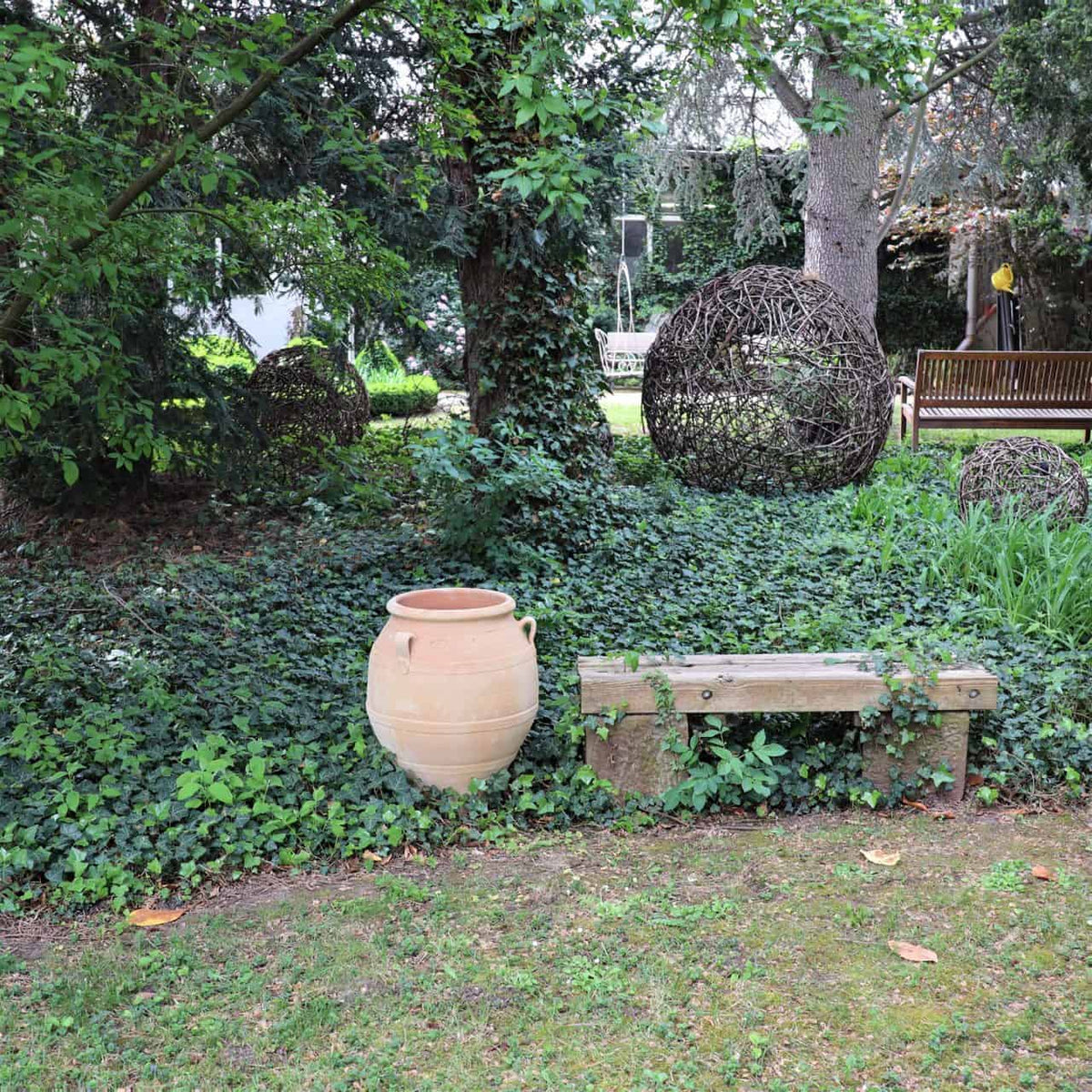 Eine ruhige Gartenszene zeigt eine Holzbank und eine große 60 cm große Terrakotta-Amphore „Cassia“, umgeben von üppigem Grün und Efeu. Im Hintergrund sind kugelförmige geflochtene Kunstwerke auf dem Rasen verstreut, und eine weitere Holzbank ist teilweise zwischen Cassia-Bäumen und Laub sichtbar.