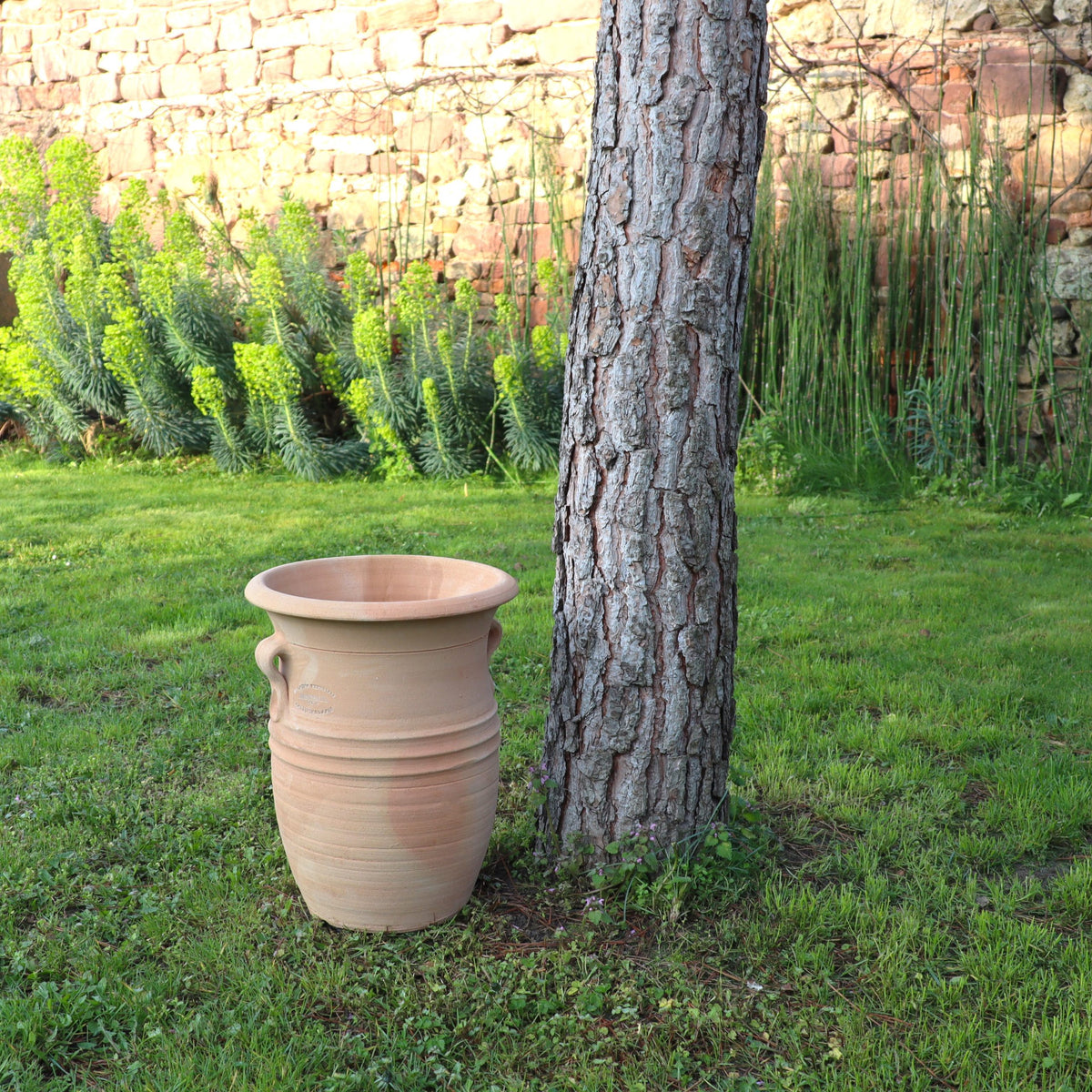 Die Vase aus Terrakotta "Cistus 2" (H=40cm) steht auf Gras neben einem Baumstamm in einem Garten, mit Grünpflanzen und einer Steinmauer im Hintergrund.