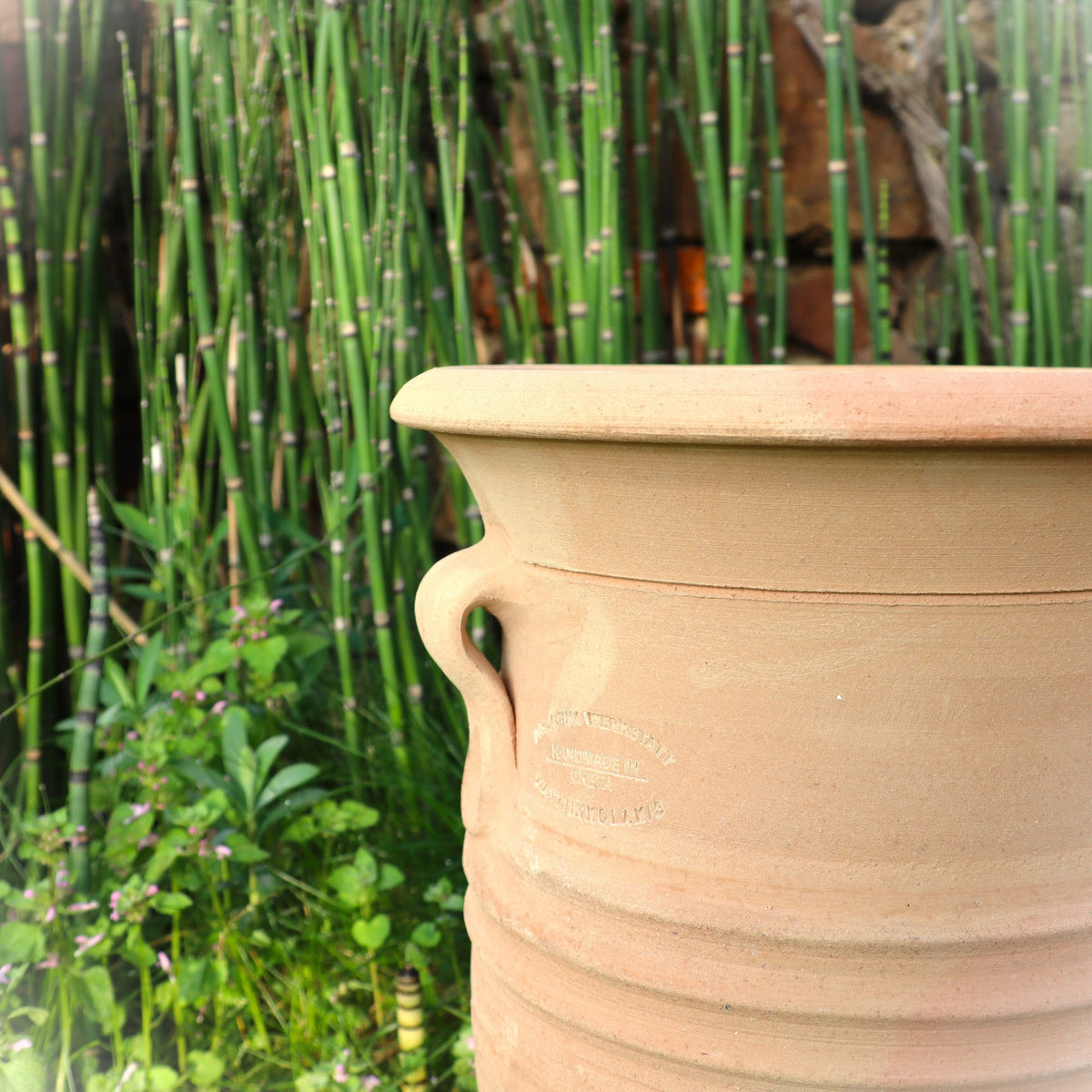 Die Vase aus Terrakotta "Cistus 2" (H=40cm) mit zwei Henkeln steht inmitten von bambusartigem Grün und kleinen violetten Blüten, im Hintergrund ist eine Steinmauer zu sehen.