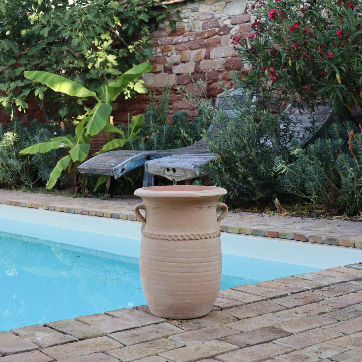 Eine große griechische Amphorenvase „Cistus“, H=40cm, steht am Rand eines Swimmingpools in einem Garten. Die Szene zeigt üppiges Grün, darunter Bananenpflanzen und blühende Cistus-Büsche, eine rustikale Steinmauer und mit Pflanzen bedeckte Holzliegestühle.