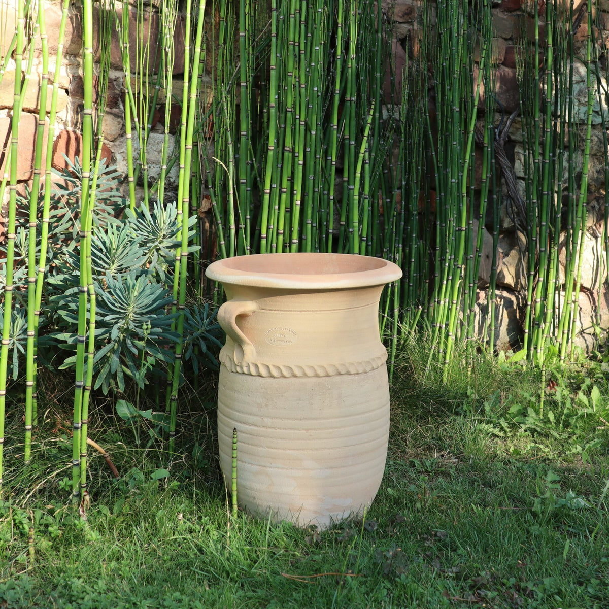 Eine große, beige griechische Amphorenvase aus Keramik „Cistus“, 40 cm hoch, mit dekorativen Griffen an beiden Seiten, steht auf einer Rasenfläche. Hohe, grüne Bambuspflanzen und eine Steinmauer dienen als Hintergrund und schaffen eine natürliche und ruhige Umgebung. Sonnenlicht wirft weiche Schatten, die die ruhige Atmosphäre verstärken, während in der Nähe Zistrosen blühen.