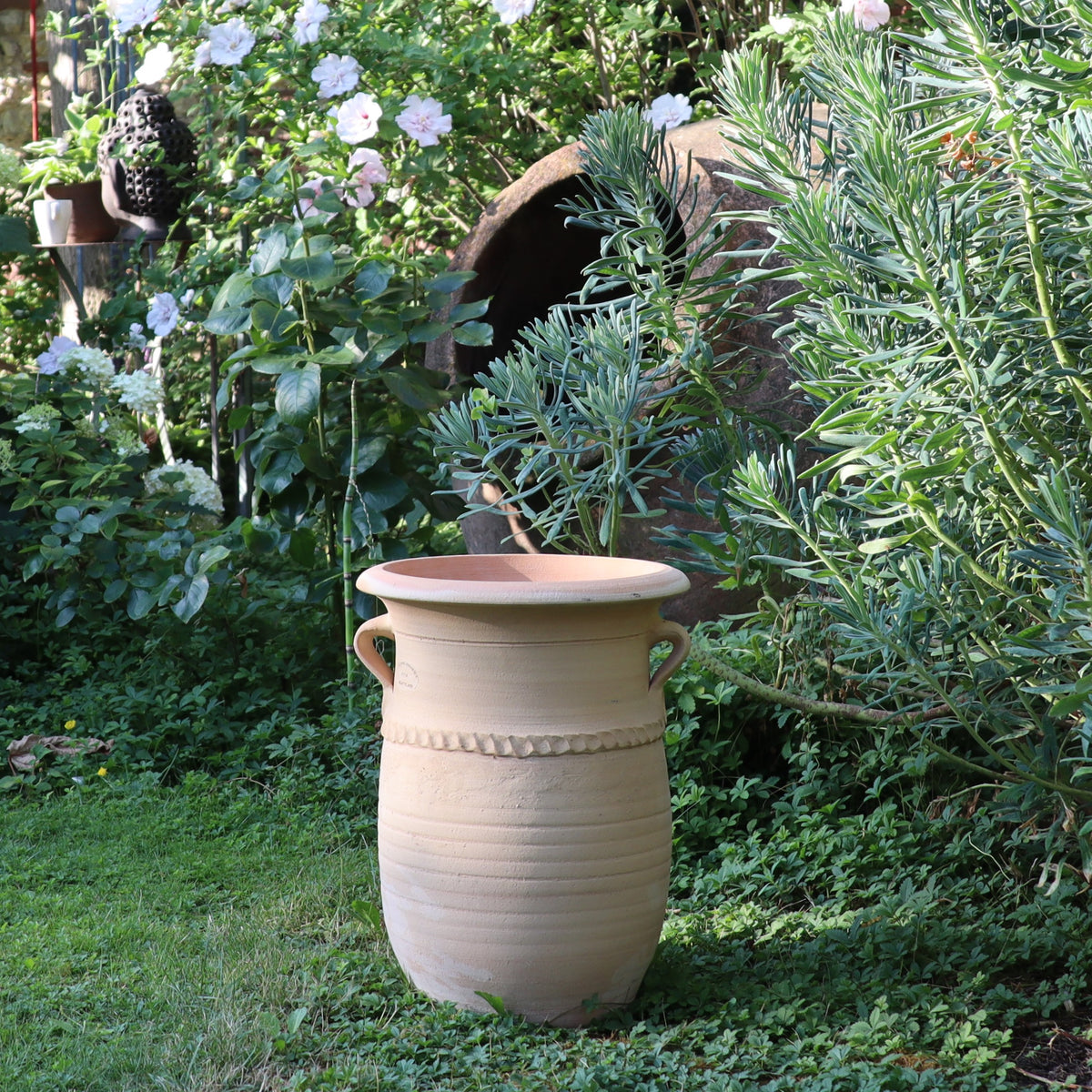 Die griechische Amphorenvase „Cistus“, H=40cm, mit Henkeln auf beiden Seiten steht in einem üppigen Garten, umgeben von verschiedenen Pflanzen und Blumen. Dieser Topf hat oben ein dekoratives Band und ist teilweise von Grün beschattet. Im Hintergrund blühen weiße Cistusblüten.
