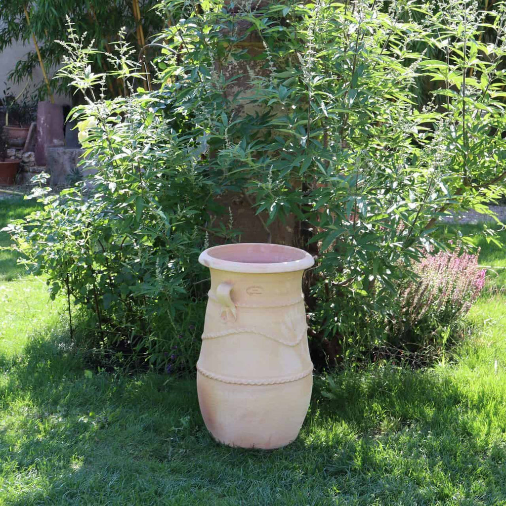Eine hohe, dekorative griechische Terrakotta-Amphore „Cistus“ steht auf einem üppigen grünen Rasen mit belaubten Büschen und einem Baum im Hintergrund. Der 60 cm hohe Topf weist erhabene Muster und Verzierungen auf, die ihm ein kunstvolles Aussehen verleihen. Sonnenlicht fällt durch das Laub und wirft ein sanftes Licht auf die Szene.