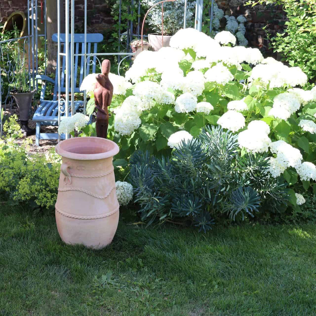 Eine Gartenszene mit der griechischen schmalen Terrakotta-Amphore „Cistus“ H=60 cm im Vordergrund, mit üppigem grünem Gras und blühenden weißen Hortensien im Hintergrund. Eine Holzstatue und ein blauer Stuhl sind teilweise zwischen den Zistrosenpflanzen und Blumen zu sehen. Im Hintergrund ist eine mit schmiedeeisernen Verzierungen geschmückte Backsteinmauer zu sehen.