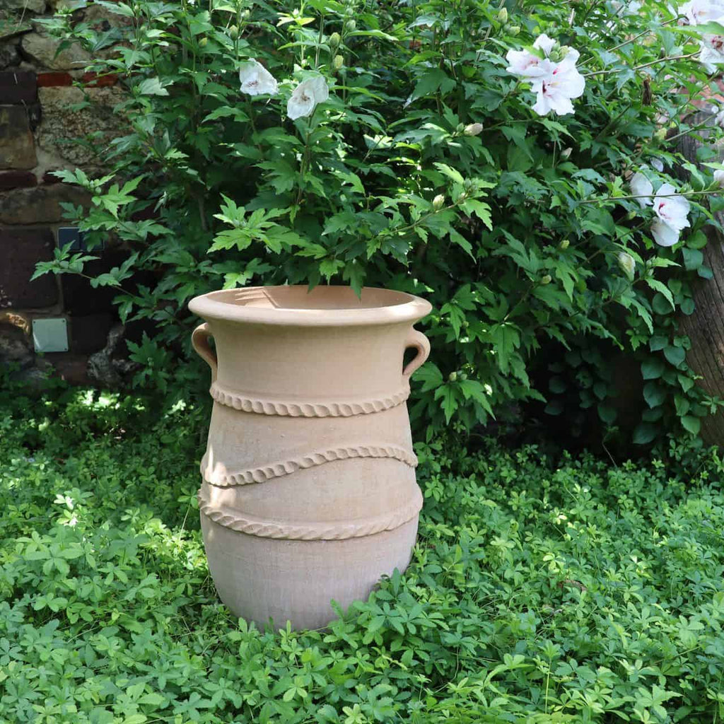 Eine große beige Keramikvase mit seilartigen Mustern steht auf einem üppigen grünen Rasen. Dahinter wachsen blühende weiße Blumen mit rosafarbener Mitte an einem Busch und schaffen eine lebendige Gartenszene, die durch die Anwesenheit der griechischen schmalen Terrakotta-Amphore „Cistus“ H=60 cm, die an antike Stile erinnert, noch verstärkt wird.