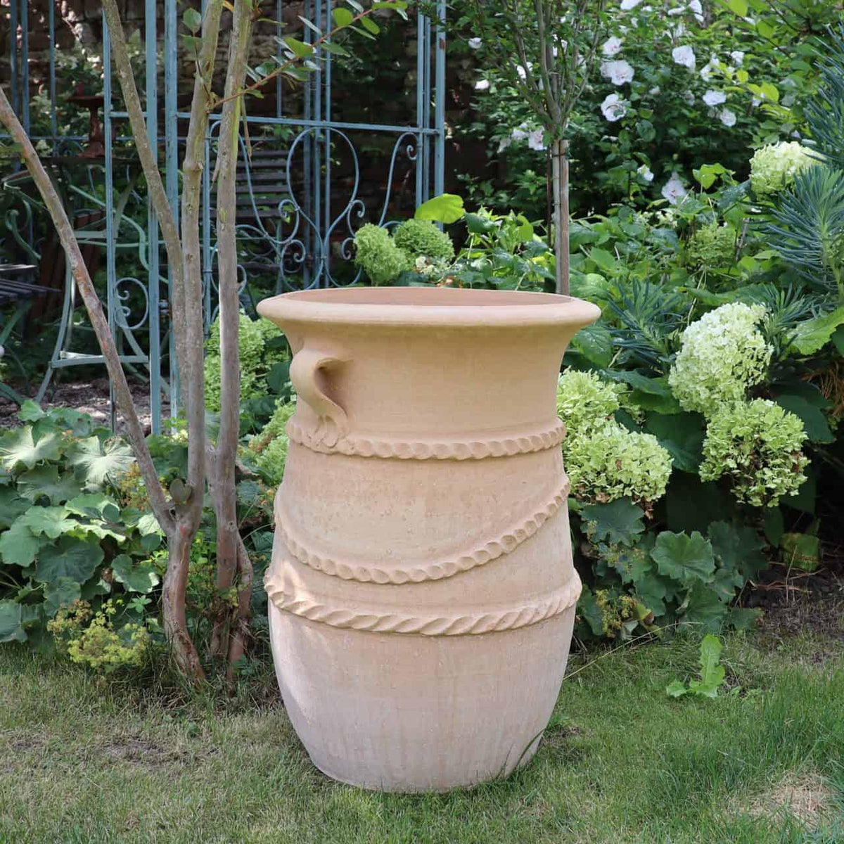 Eine große griechische schmale Terrakotta-Amphore „Cistus“ (H=60 cm) steht in einem üppigen Garten, umgeben von Grünpflanzen und weißen Hortensienblüten. Im Hintergrund ist teilweise eine verzierte Gartenstruktur aus Metall sichtbar, während der Topf, der an eine traditionelle griechische Amphore erinnert, mit dekorativen seilartigen Mustern versehen ist.