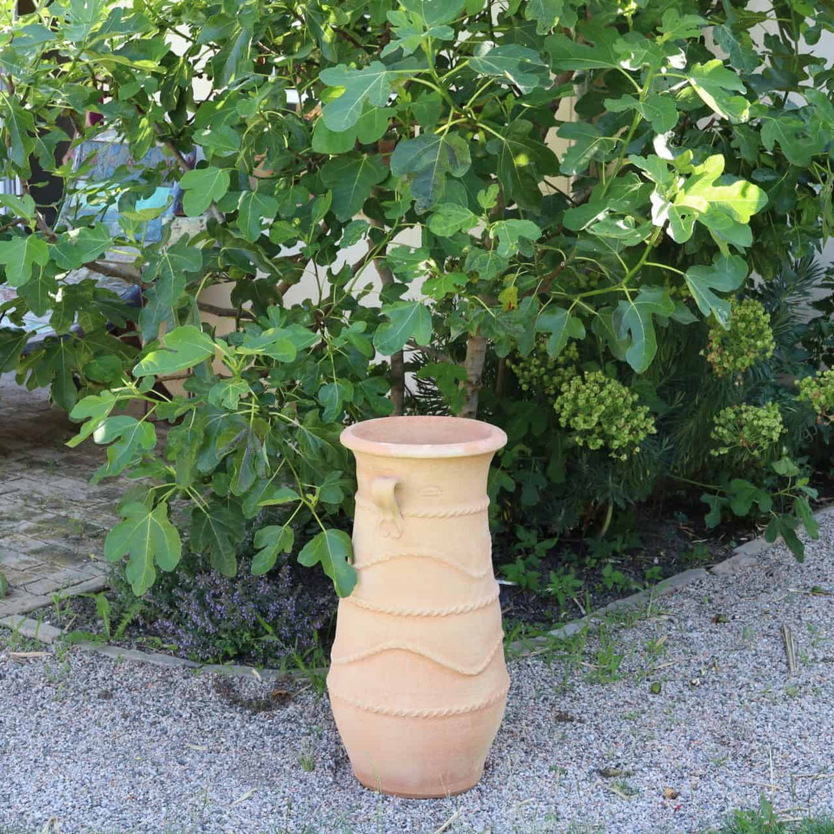 Eine große griechische Amphorenvase „Cistus“ H=80cm mit dekorativem Muster steht auf einem Kiesweg neben einem üppigen grünen Feigenbaum. Die breiten Blätter und kleinen unreifen Früchte des Baums bilden einen dichten Hintergrund für die Vase und bereichern die helle und erdige Szene mit natürlichen Elementen, die Ruhe betonen.
