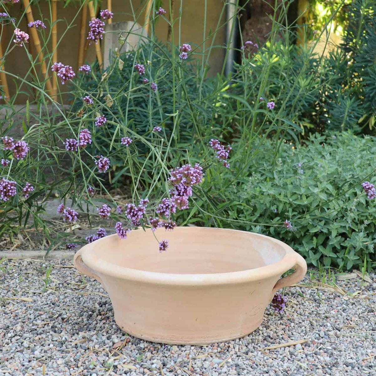Eine Terrakotta-Wasserschale steht auf einer Kiesfläche in einem Garten, umgeben von violetten Krokusblüten und grünem Laub, wodurch eine ruhige und natürliche Landschaft entsteht. In der Nähe trägt eine 40 cm große Terrakotta-Pflanzschale „Crocus“ zum Charme bei. Der Hintergrund ist mit mehr Grün und einem Hauch eines Gebäudes oder einer Struktur versehen.