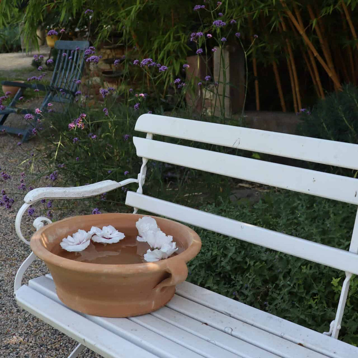 Auf einer Terrakotta-Bank in einem Garten steht die Terrakotta-Pflanzschale „Krokus“, B=40 cm, gefüllt mit Wasser und schwimmenden weißen Blüten. Im Hintergrund sind üppige grüne Pflanzen und leuchtende Krokusblüten zu sehen.