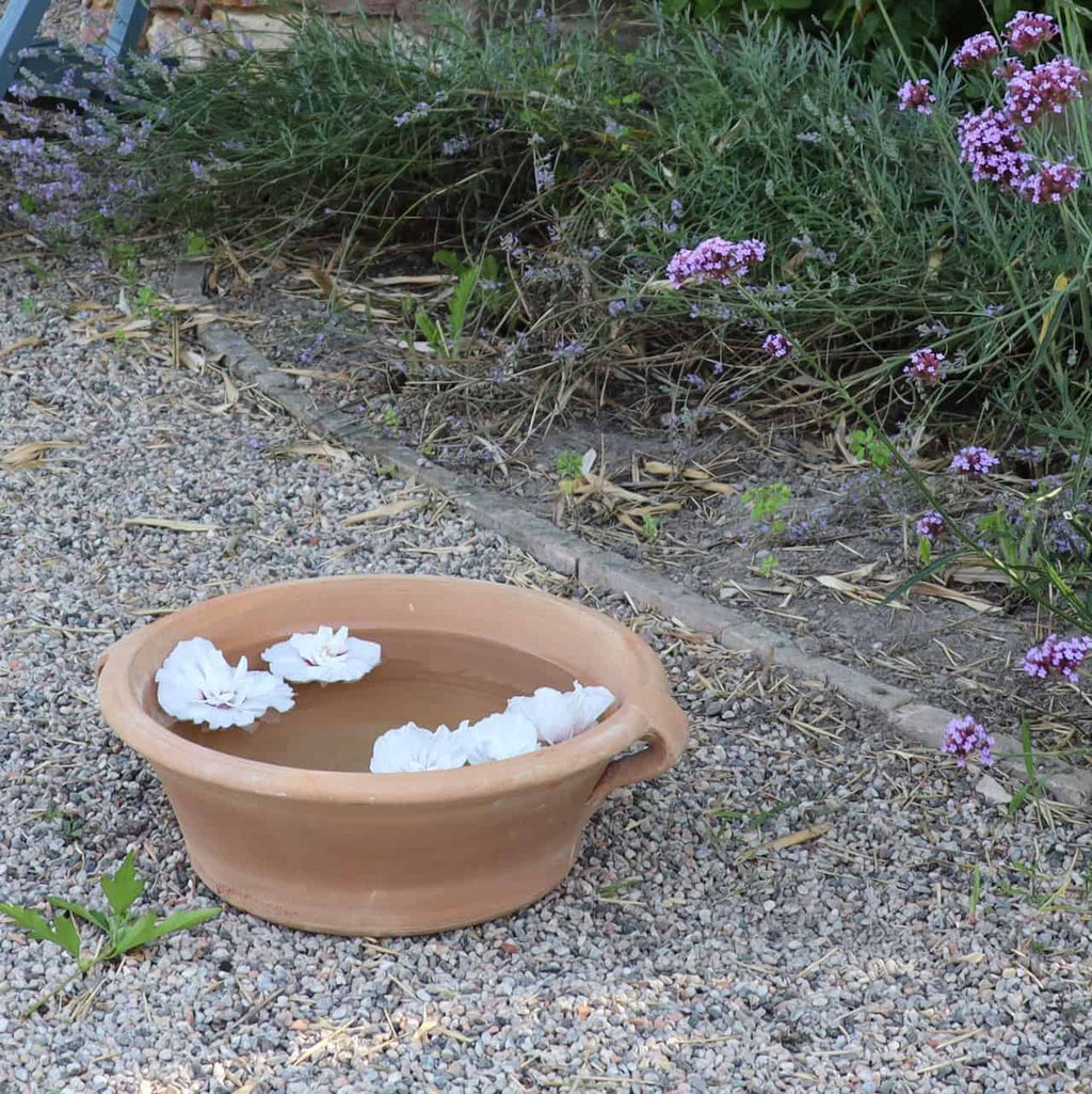 Eine Terrakotta-Pflanzschale „Krokus“, 40 cm breit, gefüllt mit Wasser und schwimmenden weißen Blüten, steht auf einer Kiesfläche. Im Hintergrund sorgen Grünpflanzen und blühende Krokusse für einen Hauch Farbe in der ruhigen Gartenkulisse.