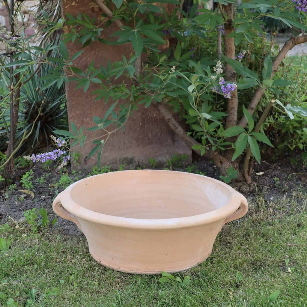 Eine breite, flache Terrakotta-Pflanzschale „Krokus“ mit zwei kleinen Griffen auf beiden Seiten ruht auf grünem Gras in einer Gartenumgebung. Mit einem Durchmesser von 40 cm steht sie zwischen verschiedenen Grünpflanzen und einem teilweise sichtbaren Baum und bietet eine natürliche Kulisse, die oft von blühenden Krokussen genutzt wird.