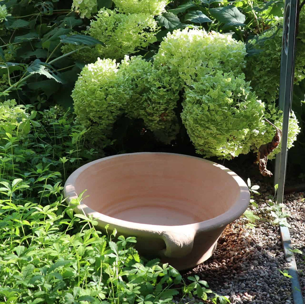 Eine 40 cm große Terrakotta-Pflanzschale „Krokus“ wird auf einer Kiesfläche inmitten üppiger grüner Blätter und blühender Hortensienbüsche in einem Garten platziert und verleiht als Pflanzgefäß eine elegante Note.