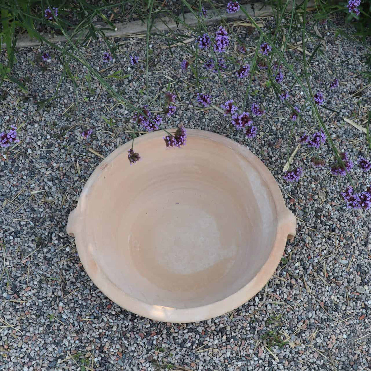 Eine große, leere Terrakotta-Pflanzschale „Krokus“ mit 40 cm Durchmesser und zwei kleinen Henkeln steht auf einer Kiesfläche. Die Schale ist von grünem Laub und violetten Krokusblüten umgeben, was der Szene einen Hauch von Natur verleiht.