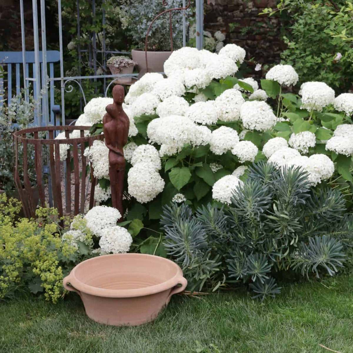 Eine üppige Gartenszene mit einer Kreta Keramik Terrakotta Pflanzschale „Krokus“ (50 cm) im Vordergrund, umgeben von blühenden weißen Hortensien, grünem Laub und einer hohen, schlanken Gartenskulptur. Im Hintergrund sind Metallzäune und weiteres Gartengrün zu sehen, durch das Krokusblüten hervorschauen.