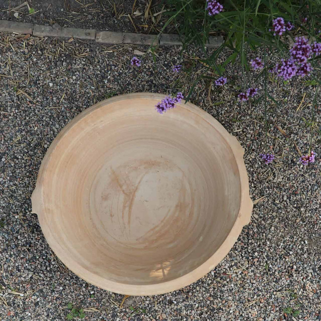 Eine Terrakotta-Pflanzschale „Crocus“ mit einem Durchmesser von 40 cm steht auf einer Kiesfläche neben einigen violetten Krokusblüten und grünem Laub. Die große, runde beige Keramikschale hat zwei kleine Griffe an den Seiten und weist innen etwas Schmutz und Flecken auf.
