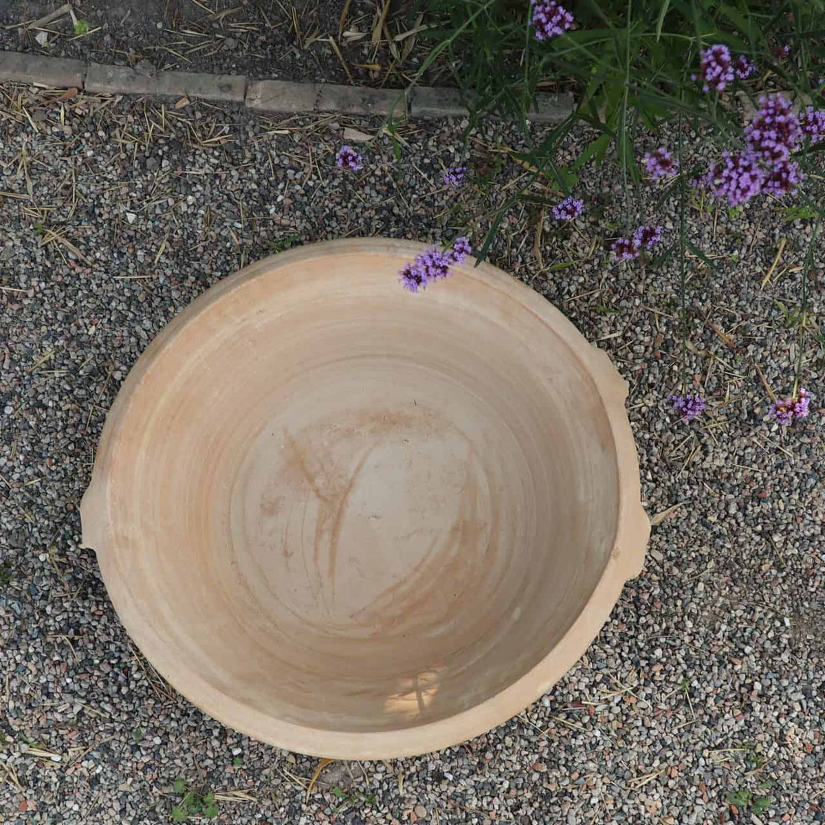 Eine Terrakotta-Pflanzschale „Crocus“ mit einem Durchmesser von 40 cm steht auf einer Kiesfläche neben einigen violetten Krokusblüten und grünem Laub. Die große, runde beige Keramikschale hat zwei kleine Griffe an den Seiten und weist innen etwas Schmutz und Flecken auf.