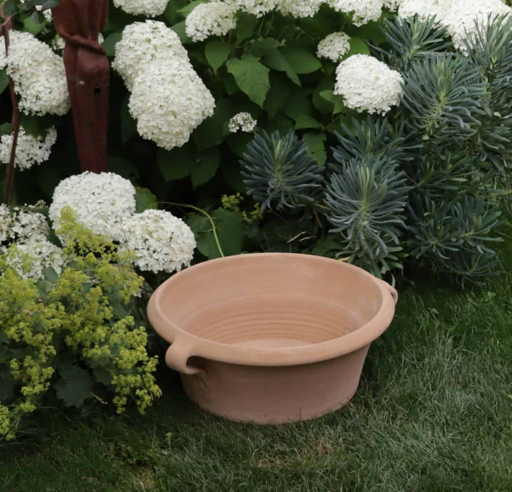 Eine große, leere Kreta Keramik Terrakotta-Pflanzschale „Krokus“ (B=50 cm) steht auf einem grünen Rasen, umgeben von üppigem Grün. Weiße Hortensienblüten blühen prominent auf der linken Seite, während sich auf der rechten Seite Sukkulenten mit blaugrünen Blättern tummeln.